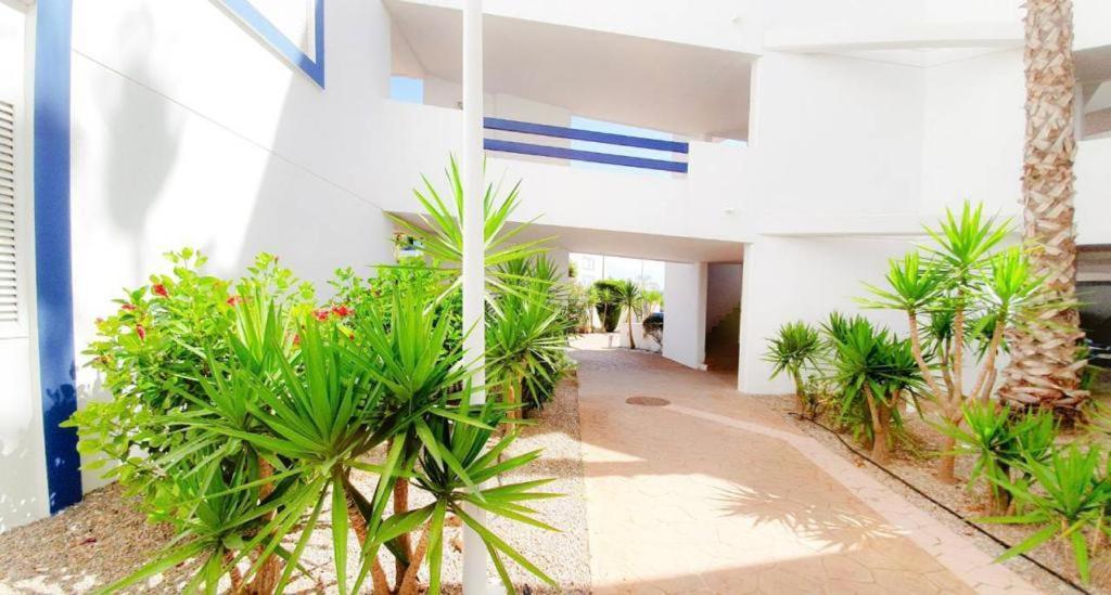 Apartment With Sea Views In Las Terrazas/Playa Flamenca Dehesa de Campoamor  Екстер'єр фото